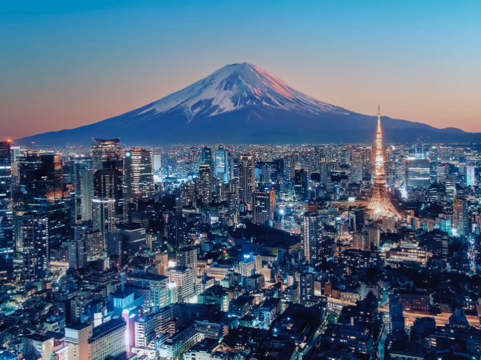 Aerial view of Tokyo at sunset.